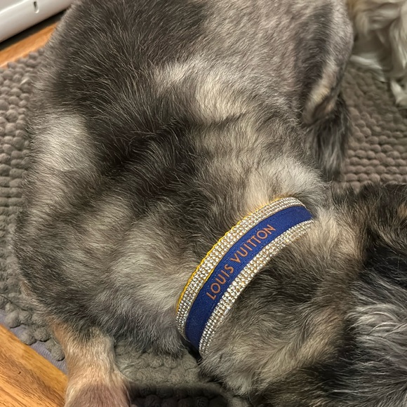 Handmade Dog Necklace golden color hardware,rhinestones designer LV ribbon. - Picture 5 of 5